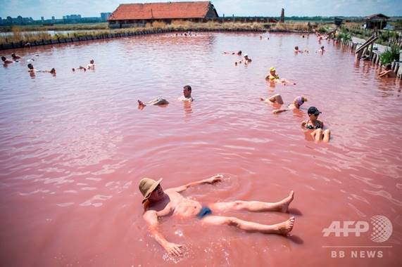 ブルガリア東部の黒海沿岸都市ブルガス近郊で、製塩場に併設された「スパ」でプールに浮かんでリラックスする人たち（2019年7月25日撮影）。(c)NIKOLAY DOYCHINOV / AFP